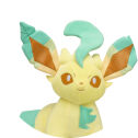 Eeveelution build on sale a bear