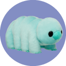 Shop All Stuffed Animals