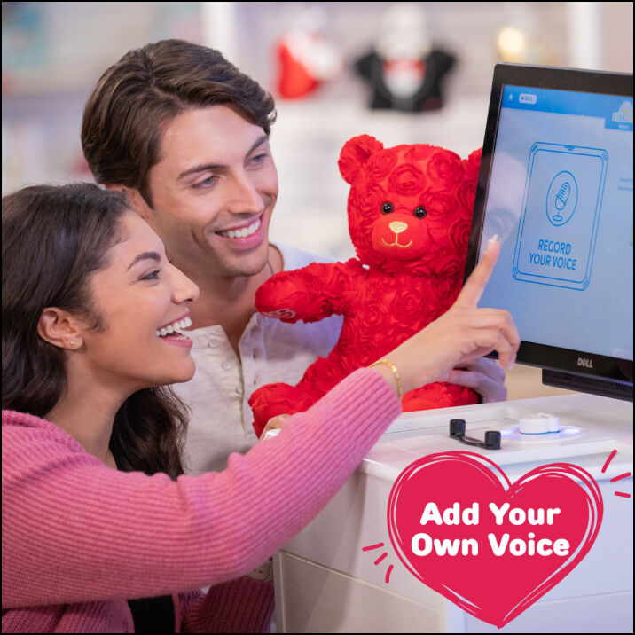 Bears with hotsell recordable message