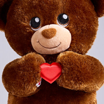 Bear Holding Heart