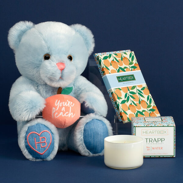 Build a bear gift box on sale