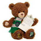 SLYTHERIN™ House Bear with Scarf and HOGWARTS™ Acceptance Letter