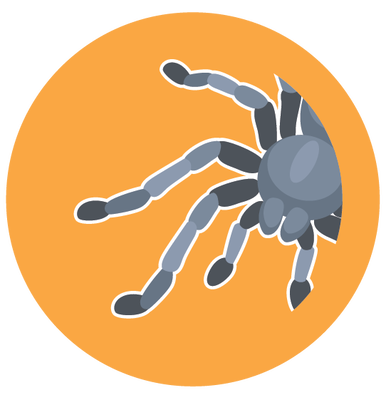 Spider Legs Scent