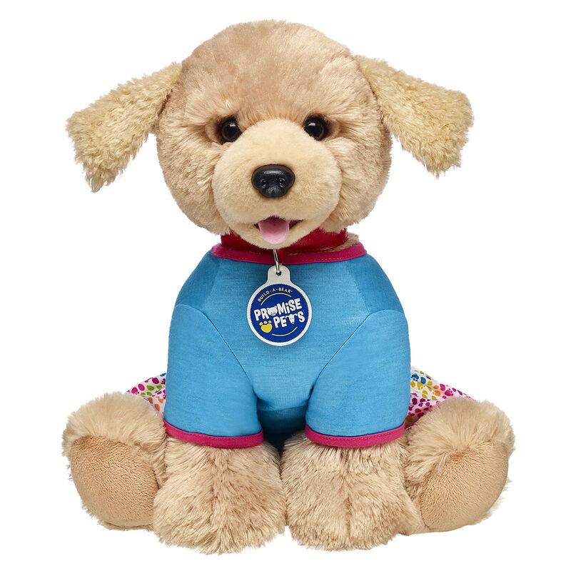 Promise Pets™ Explore Dress