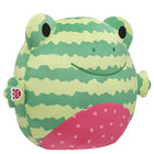 SKOOSHERZ™ Watermelon Frog Soft Toy