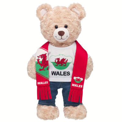 Wales Scarf and T-Shirt Set