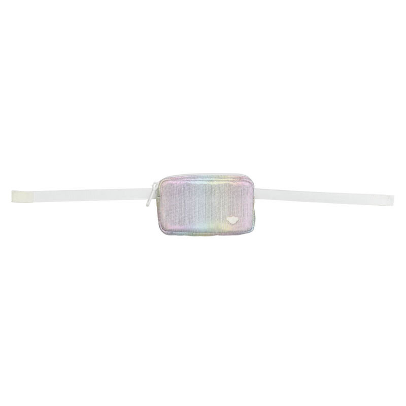 Iridescent Cross Body Bag