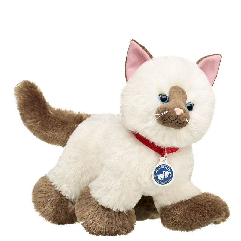 Promise Pets&trade; Ragdoll Kitten Stuffed Animal - Build-A-Bear Workshop&reg;