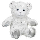 Time to Shine Bear