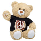 Cuddly Brown Bear Peace and Equality Gift Set