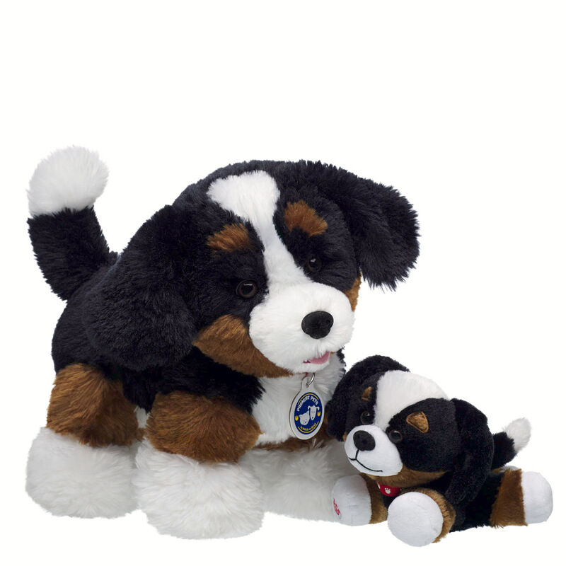 Promise Pets Bernese Mountain Dog Stuffed Animal Mini Beans Gift Set plush by Build-A-Bear