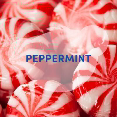SCENTiments™ Peppermint Scent