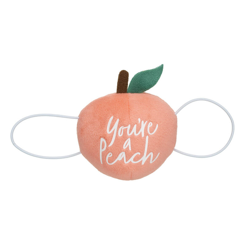 Mini Peach Journal Set