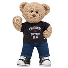 Timeless Teddy Emotional Support Gift Set