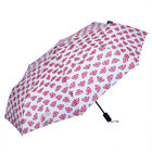 Union Jack Bear Compact Umbrella