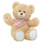 Cuddly Brown Bear Rainbow Gift Set