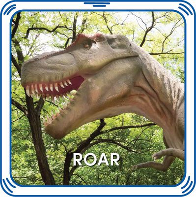 Roar 5-in-1 Sound