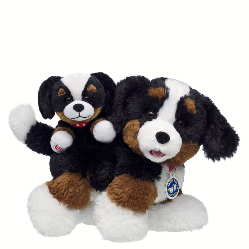 Promise Pets Bernese Mountain Dog Stuffed Animal Mini Beans Gift Set plush by Build-A-Bear