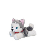 Mini Beans Promise Pets Husky Stuffed Animal plush by Build-A-Bear