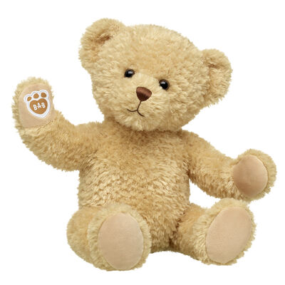Keepsake Teddy Bear