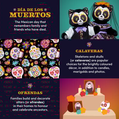 Día de los Muertos Cat Soft Toy Dress Gift Set