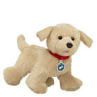 Promise Pets&trade; Golden Retriever