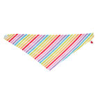 Rainbow Bandana