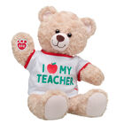 Happy Hugs Teddy Teacher Gift Set