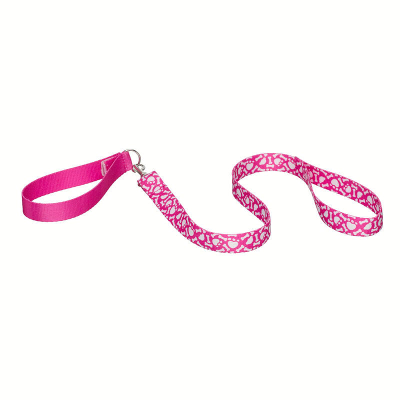 Promise Pets Pink Leash plush by Build-A-Bear