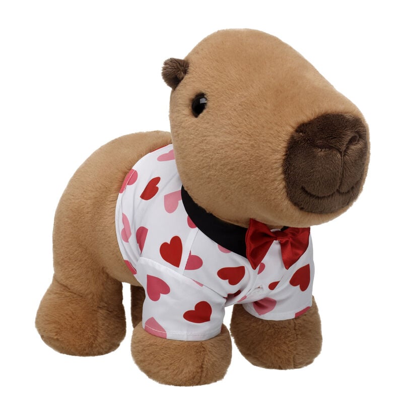 Capybara Stuffed Animal Valentine's Day Gift Set plush by Build-A-Bear