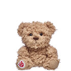 Build-A-Bear Buddies™ Timeless Teddy