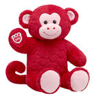 Wild Hearts Monkey