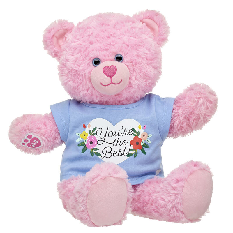 Pink Cuddles Teddy You're the Best Gift Set BuildABear®