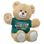 Cuddly Brown Bear My Teacher Rules Gift Set