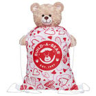 Valentine's Day Toy Bear Carrier by Build-A-Bear