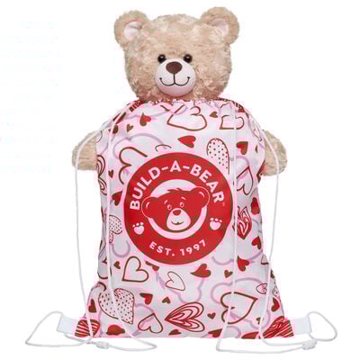 Valentine's Day Toy Bear Carrier
