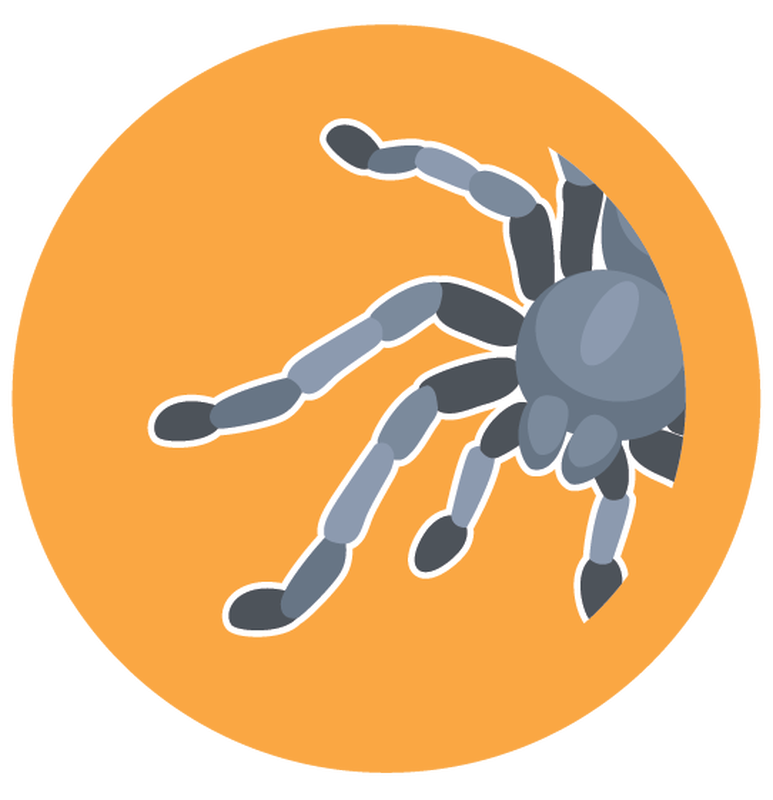 Spider Legs Scent by Build-A-Bear