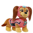 PAW Patrol Liberty Gift Set