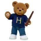 HARRY POTTER Teddy Bear Harry Jumper Gift Set soft toy by Build-A-Bear