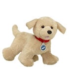 Promise Pets™ Golden Retriever