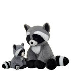 Raccoon and Build-A-Bear Buddies Raccoon Gift Set 