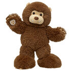 Bear Hugs Bigfoot Plush - Shop Online at Build-A-Bear®