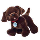 Online Exclusive Promise Pets™ Chocolate Lab