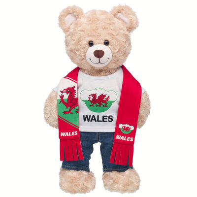 Wales Scarf and T-Shirt Set