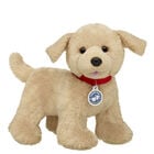 Promise Pets&trade; Golden Retriever