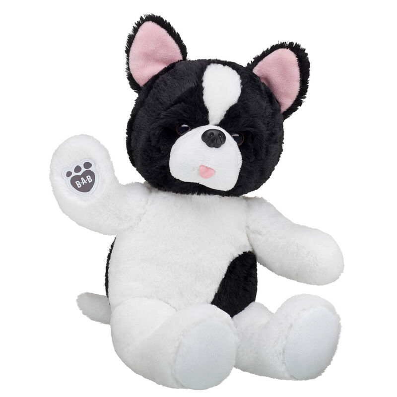 Online Exclusive Friendly French Bulldog