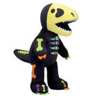 Online Exclusive Bear Bones Dino