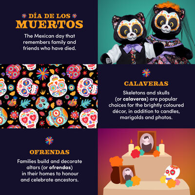 Día de los Muertos Cat Soft Toy Suit Gift Set