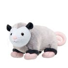 E OPOSSUM