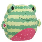 SKOOSHERZ™ Watermelon Frog Soft Toy